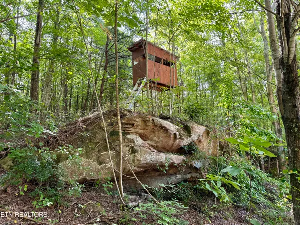 $5,575,000 | Stinking Creek Road, Pioneer, TN 37847