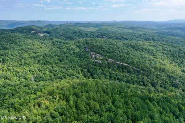 $5,575,000 | Stinking Creek Road, Pioneer, TN 37847