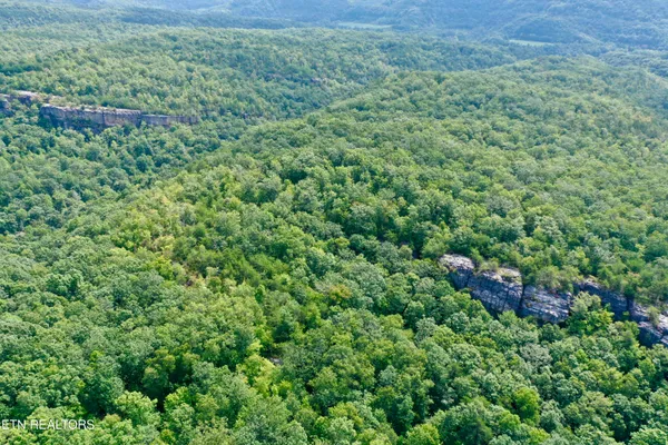 $5,575,000 | Stinking Creek Road, Pioneer, TN 37847