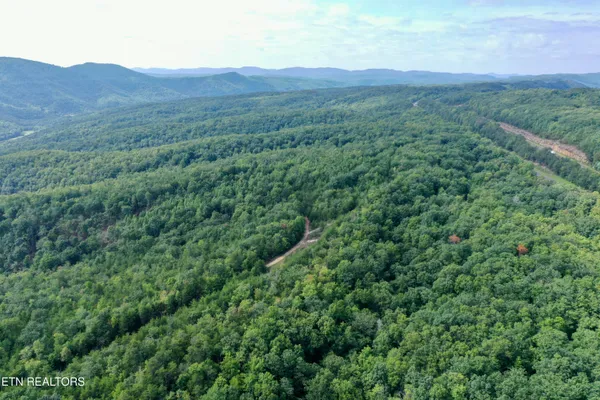 $5,575,000 | Stinking Creek Road, Pioneer, TN 37847