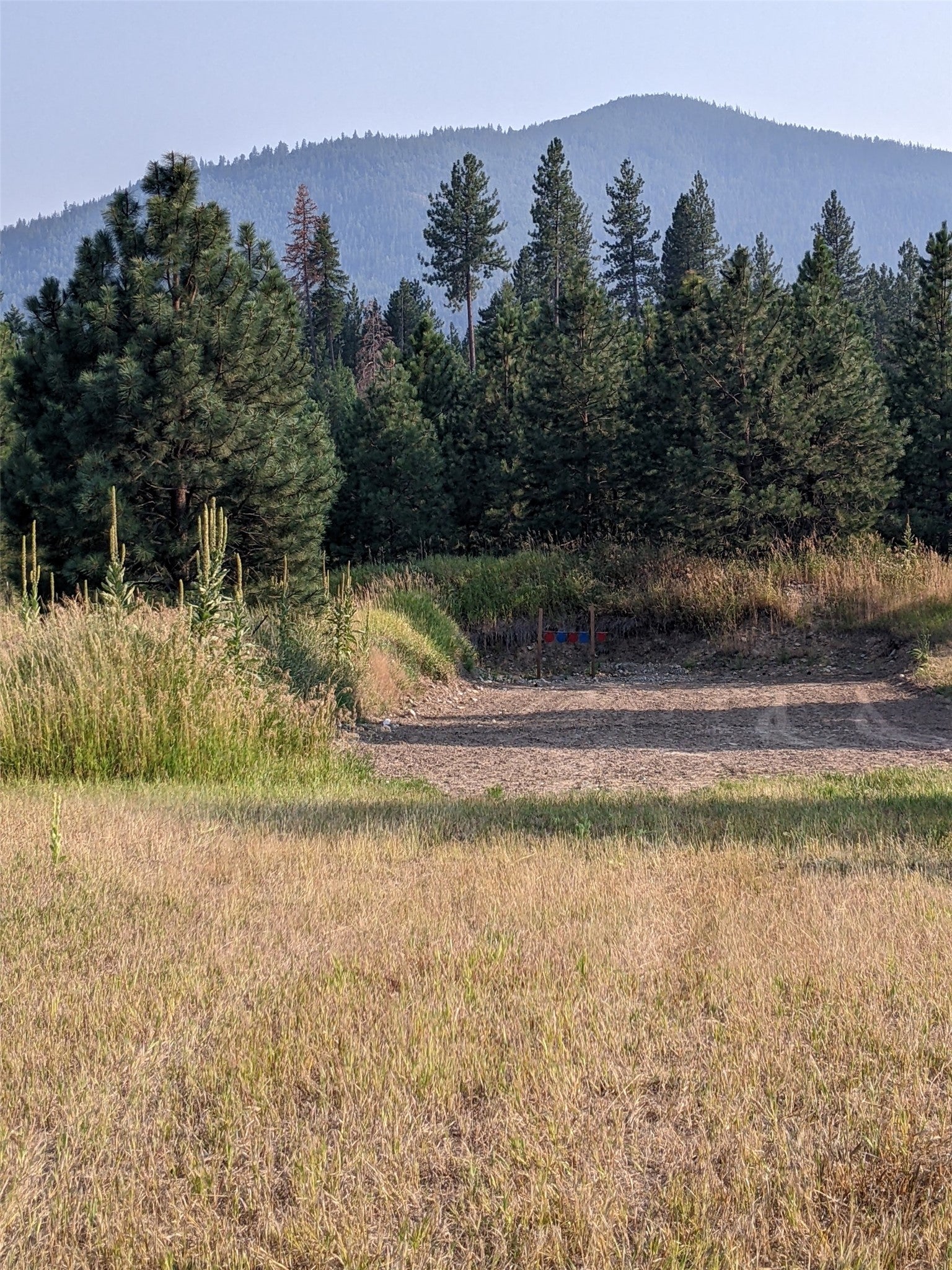64 Cherry Creek Road Thompson Falls, MT 59873 - Photo 83 of 90 Gallery Image 83