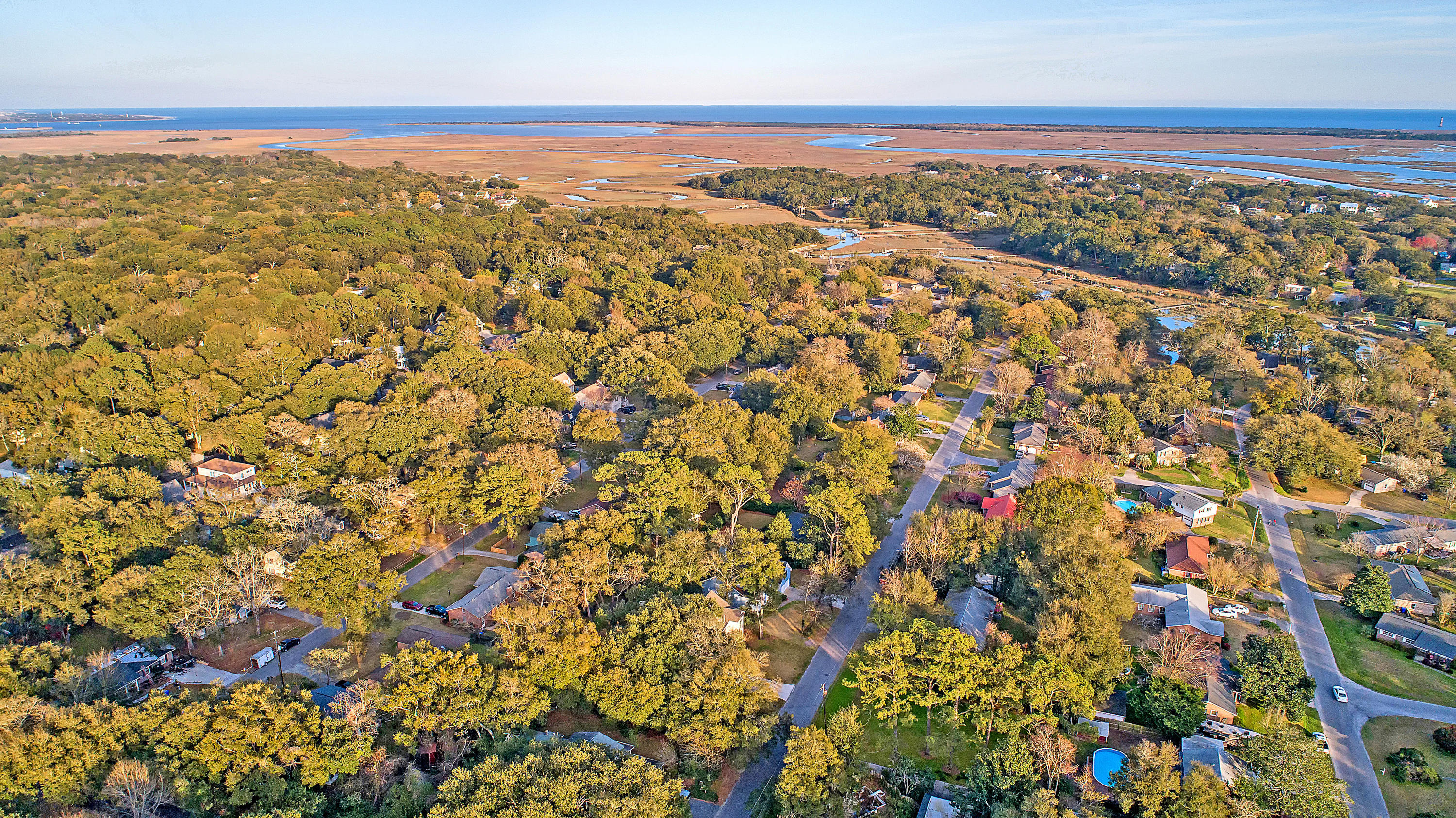 770 Leafwood Road Charleston, SC 29412 - Photo 11 of 46 DJI_0020