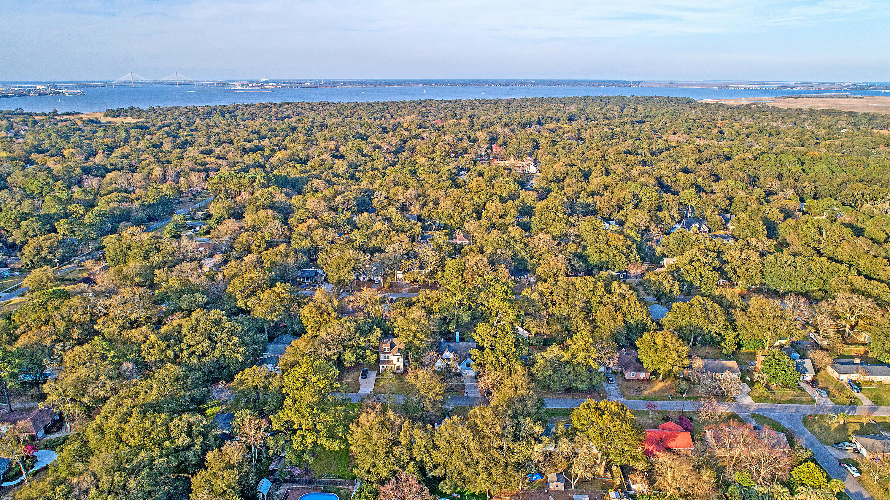 770 Leafwood Road Charleston, SC 29412 - Photo 12 of 46 DJI_0022