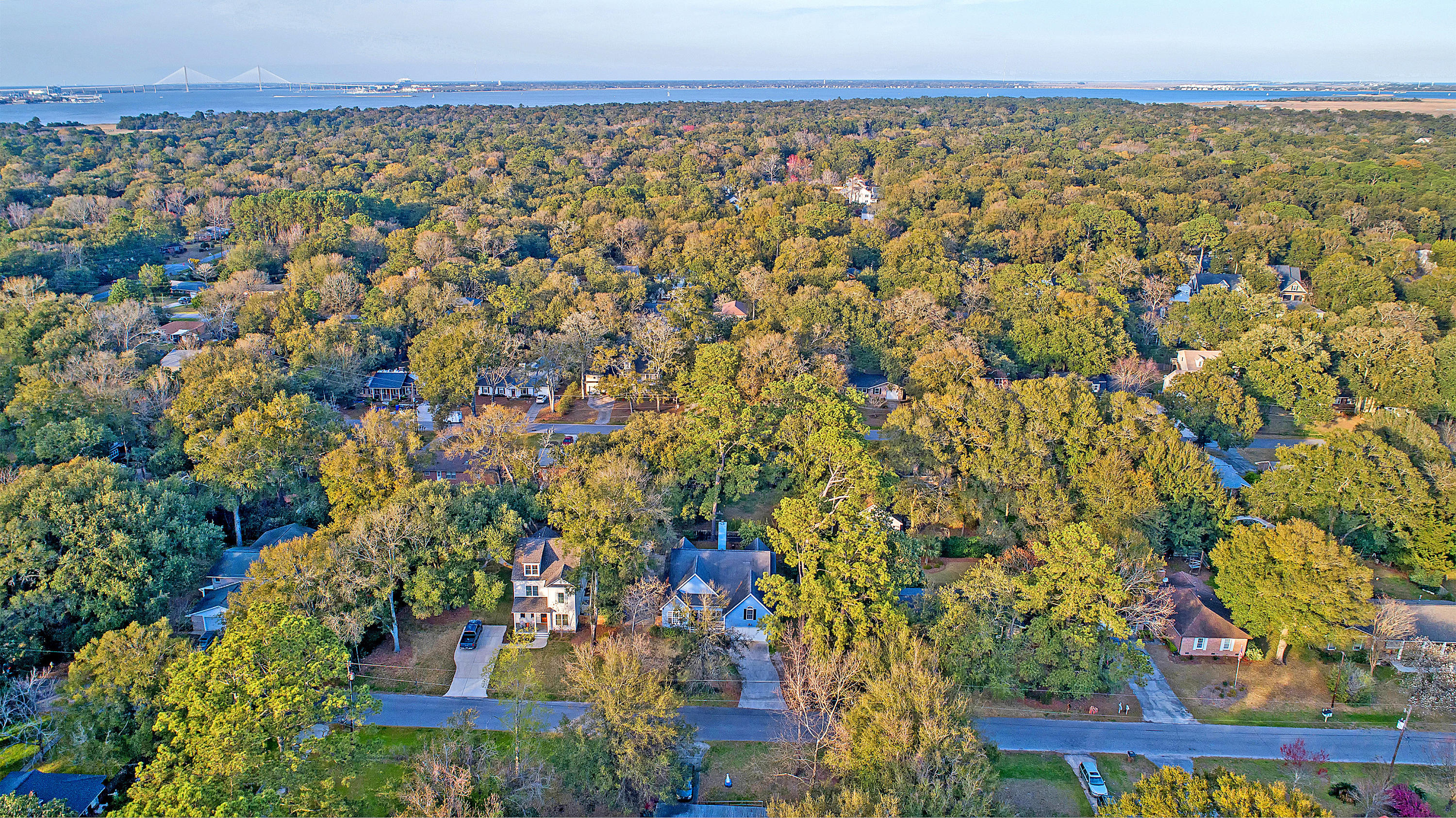 770 Leafwood Road Charleston, SC 29412 - Photo 6 of 46 DJI_0015
