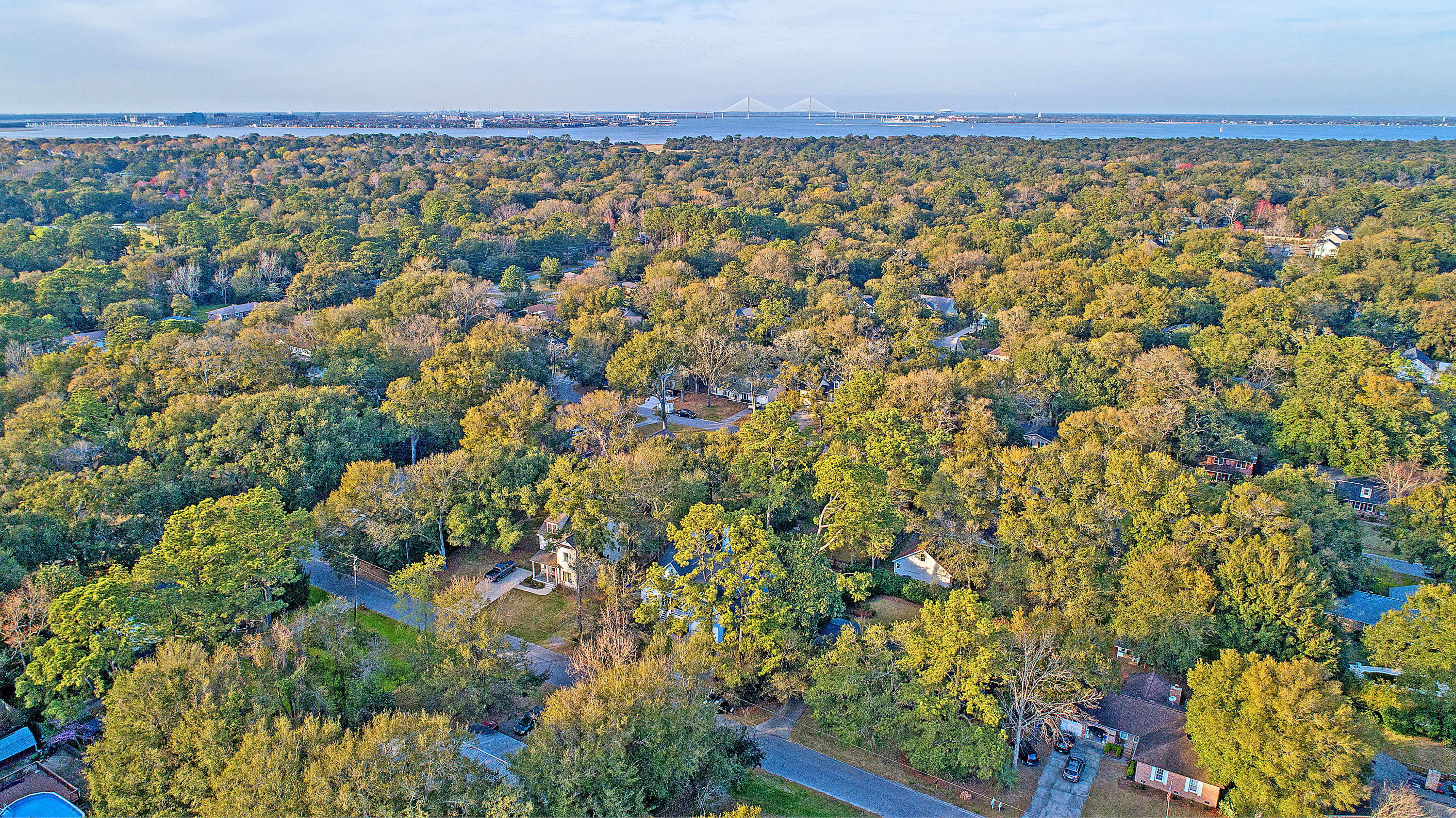 770 Leafwood Road Charleston, SC 29412 - Photo 7 of 46 DJI_0016