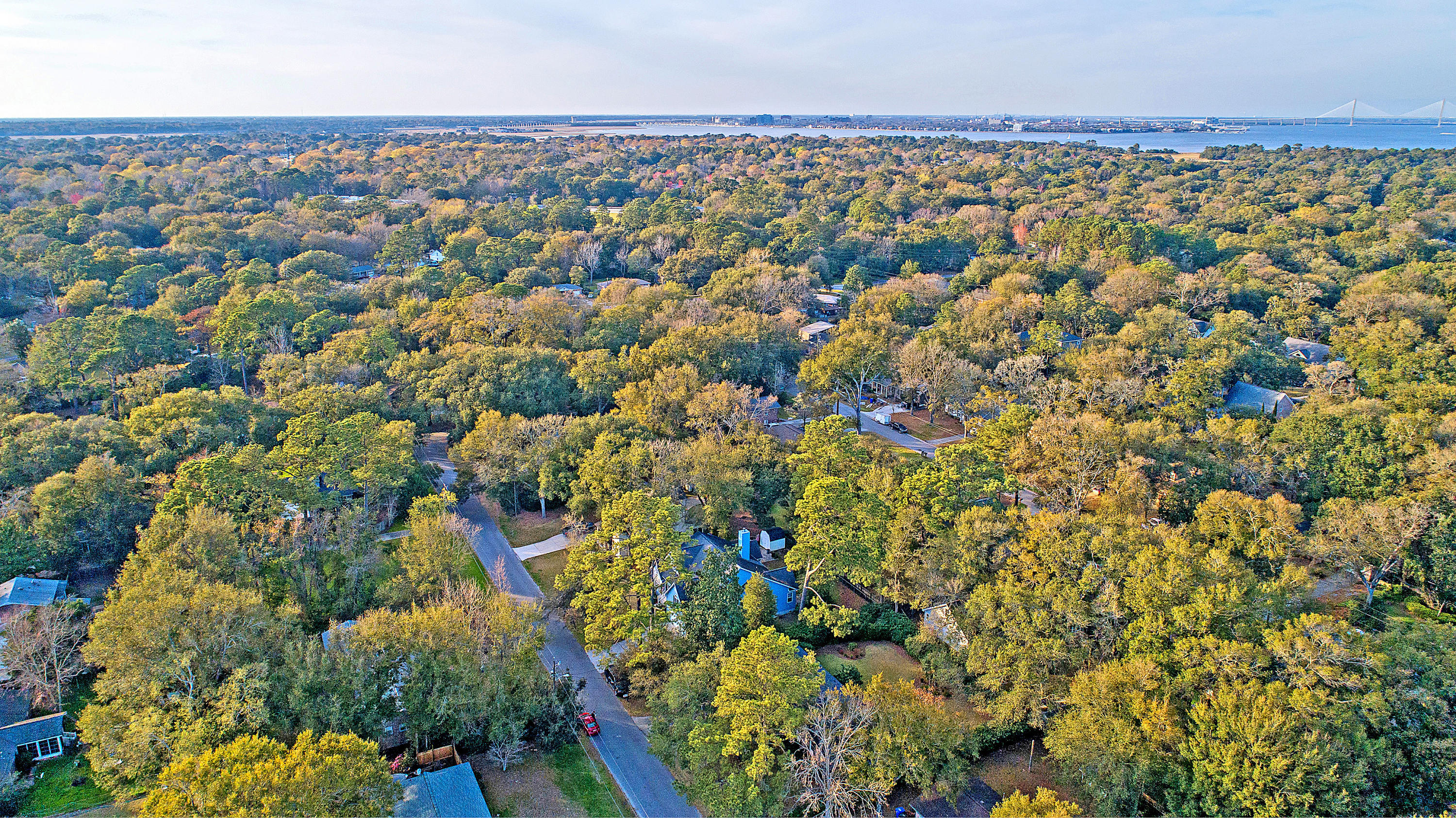 770 Leafwood Road Charleston, SC 29412 - Photo 8 of 46 DJI_0017