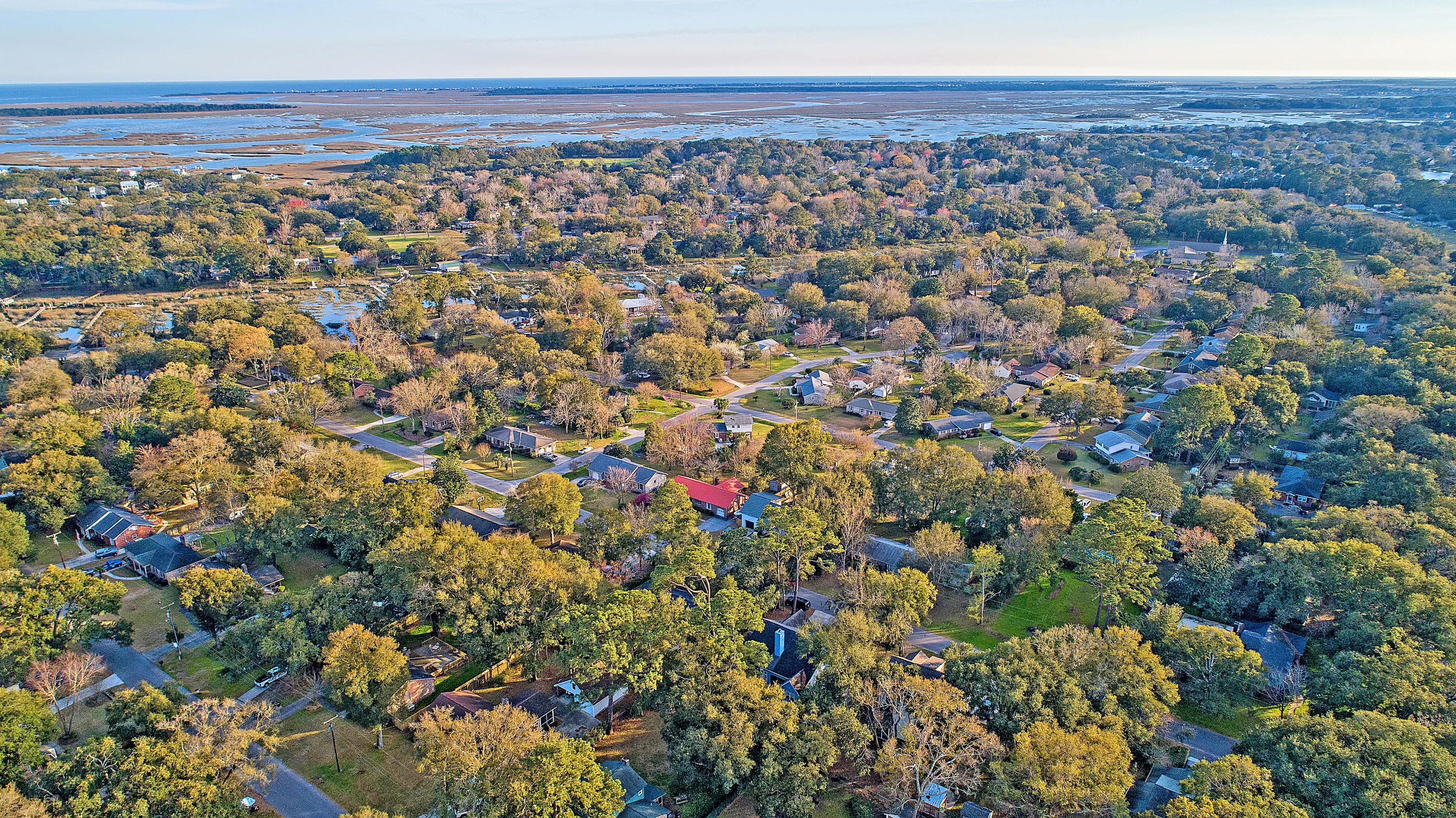 770 Leafwood Road Charleston, SC 29412 - Photo 9 of 46 DJI_0018