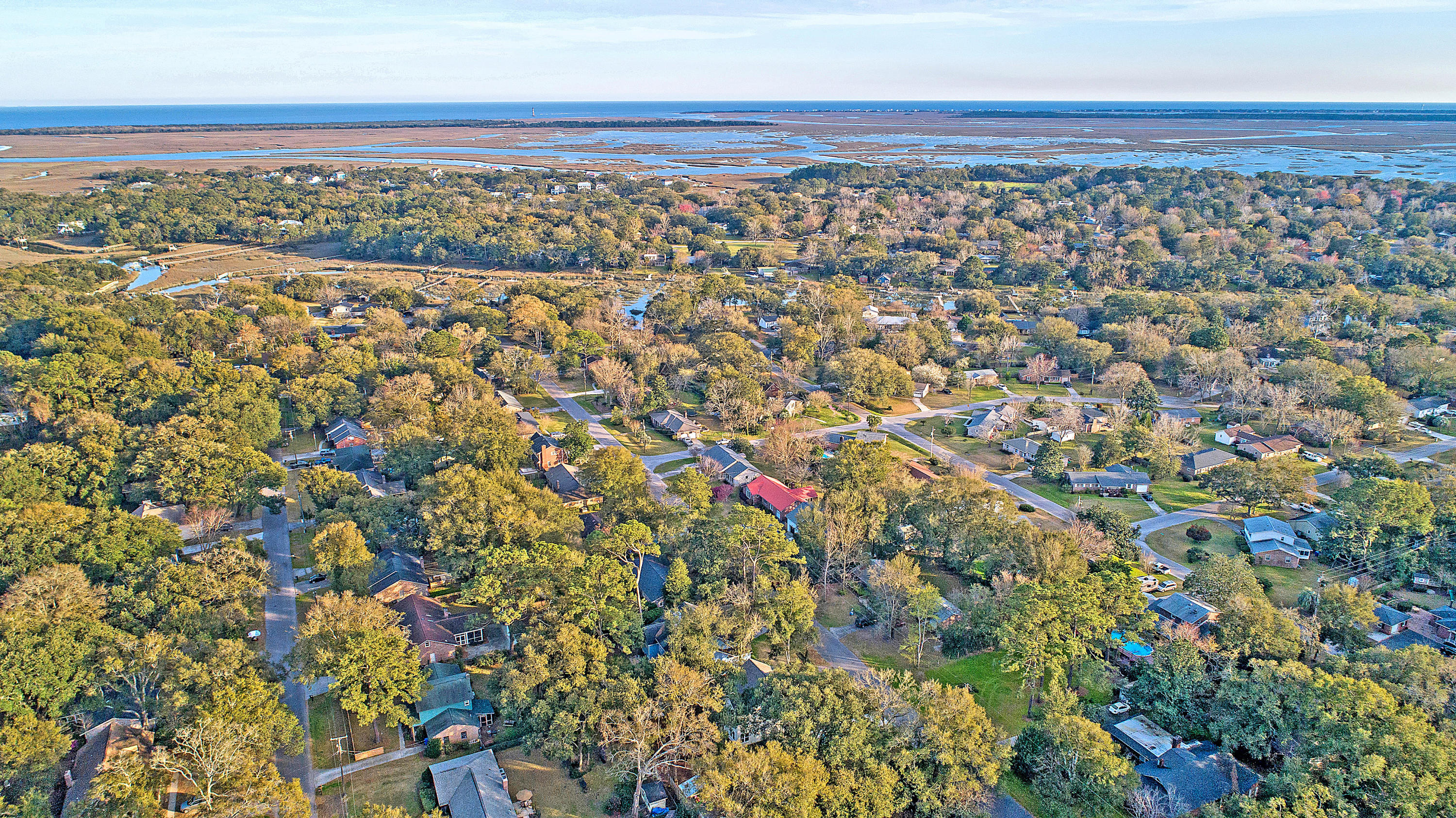 770 Leafwood Road Charleston, SC 29412 - Photo 10 of 46 DJI_0019