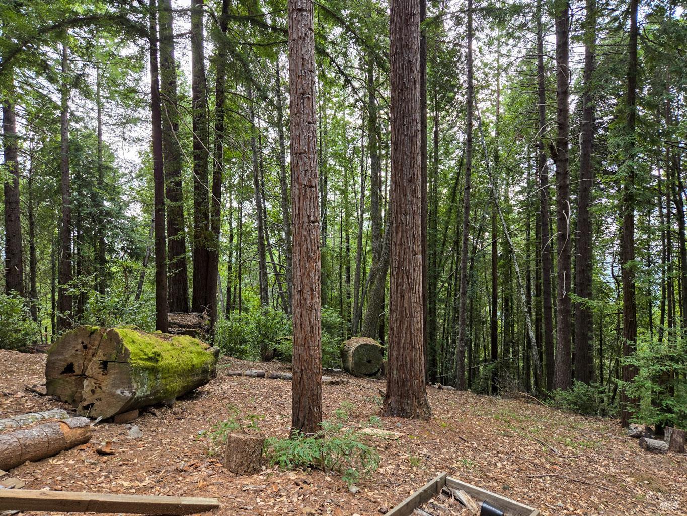 4030 Ridge Circle Willits, CA 95490 - Photo 36 of 41