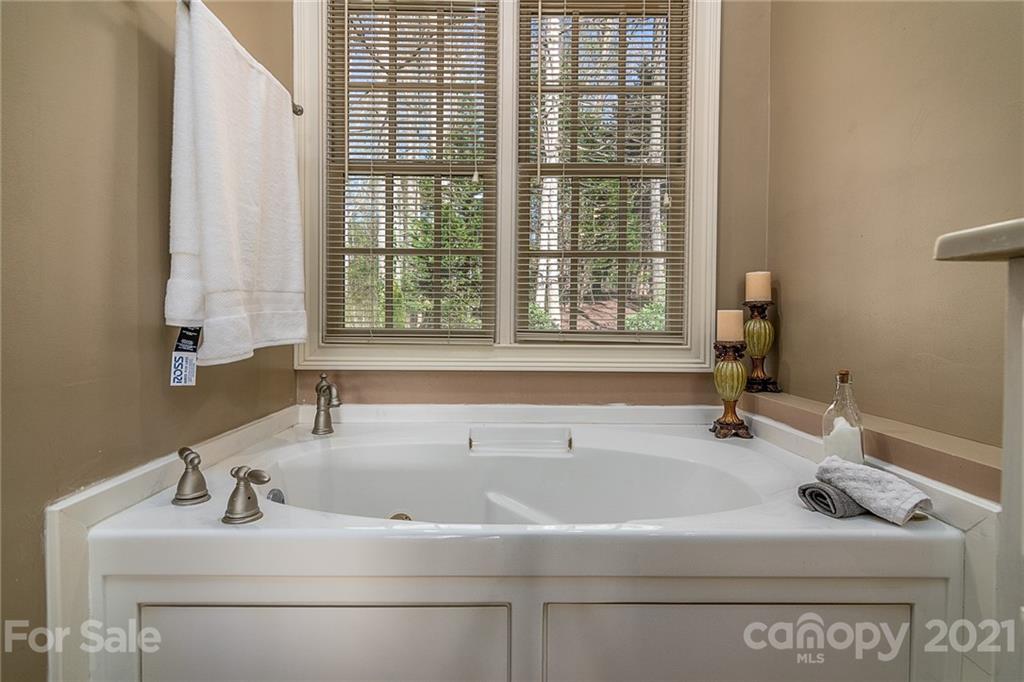 142 Hidden Harbor Road Mooresville, NC 28117 - Photo 20 of 48 Gallery Image 20