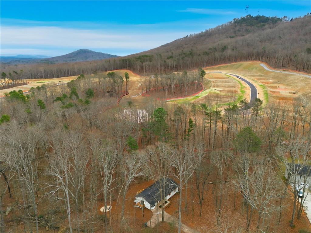 1705 Gordon Road Cumming, GA 30040 - Photo 44 of 46