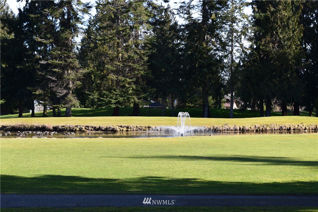 0 Hurricane Ridge Drive Sequim, WA 98382 - Photo 14 of 15 Gallery Image 14