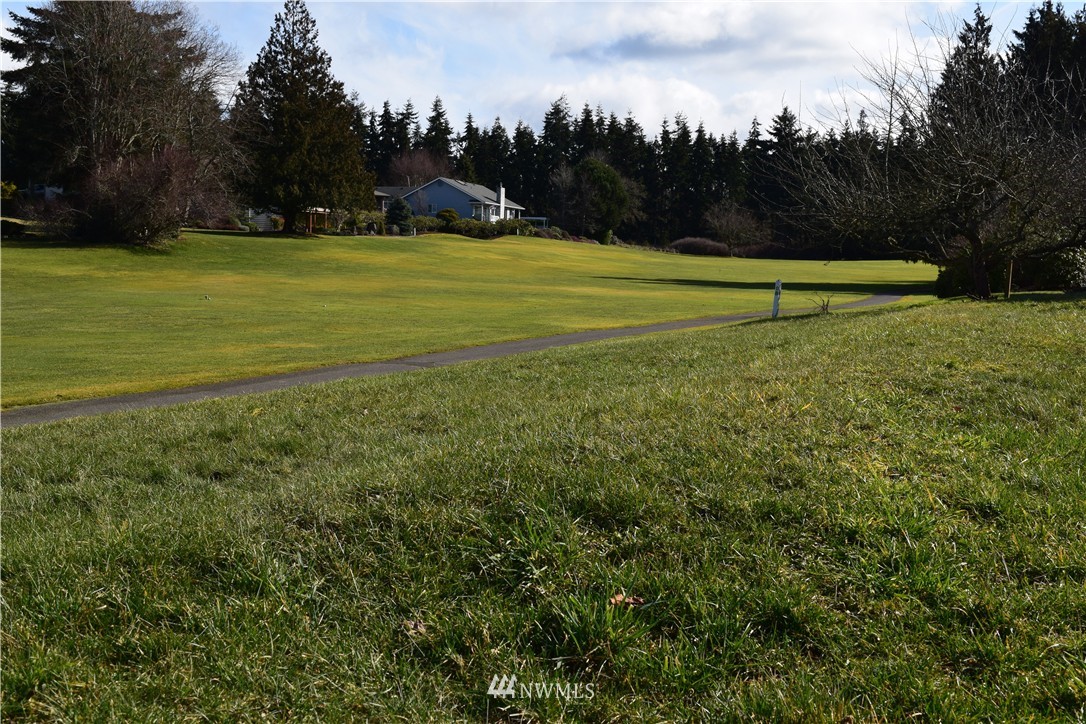 0 Hurricane Ridge Drive Sequim, WA 98382 - Photo 6 of 15 Gallery Image 6
