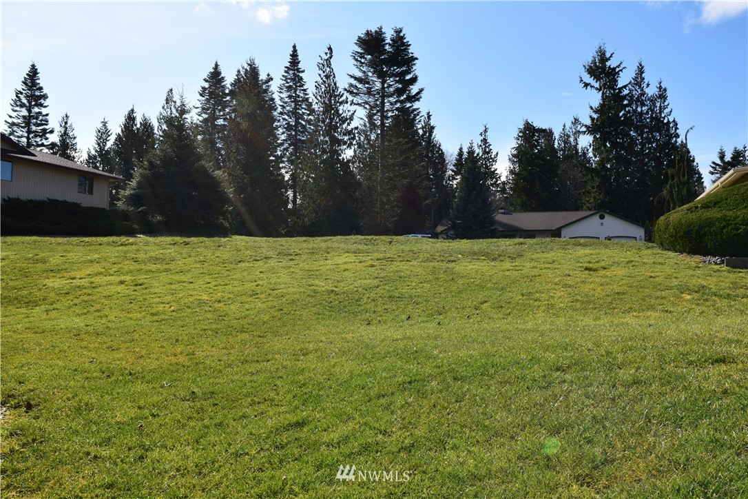 0 Hurricane Ridge Drive Sequim, WA 98382 - Photo 9 of 15 Gallery Image 9