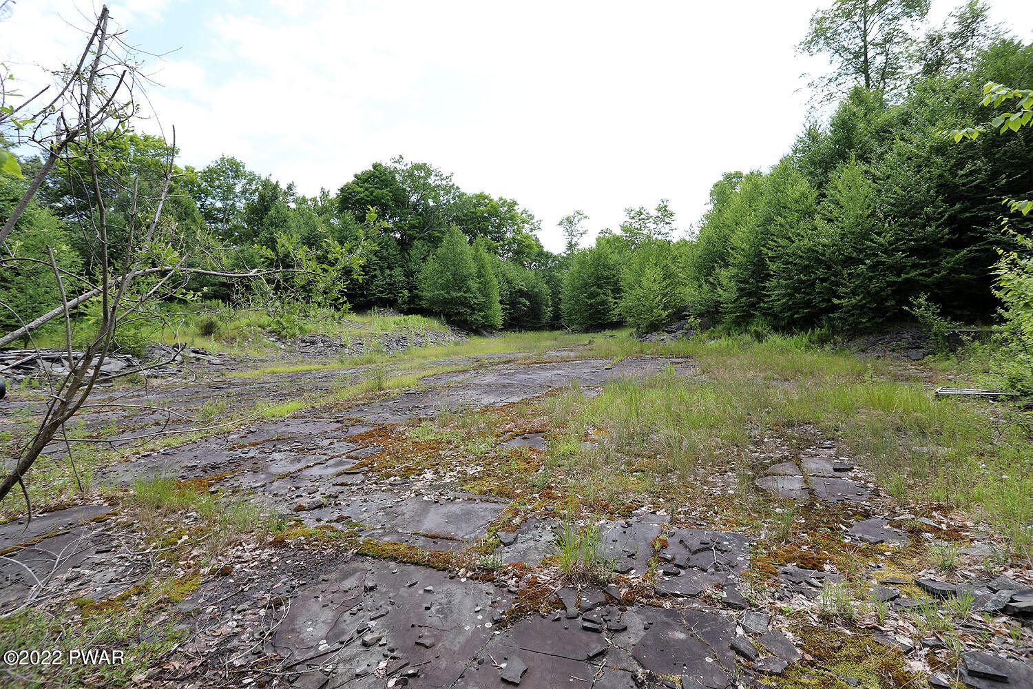 0 Minckler Mountain Road Damascus, PA 18415 - Photo 30 of 43