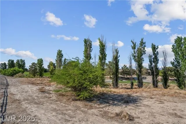 $2,495 | 5357 Eleganza Avenue, Pahrump, NV 89061