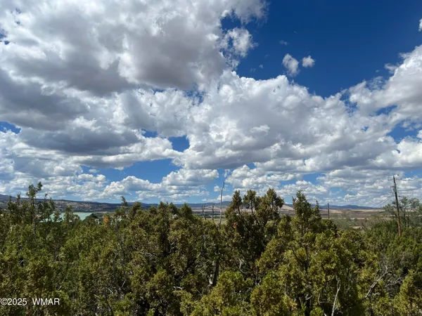 $29,900 | Tbd Hidden Valley Drive, Eagar, AZ 85925