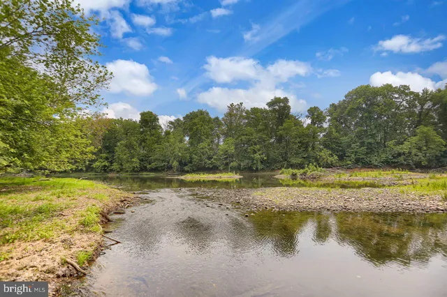a view of backyard with large trees