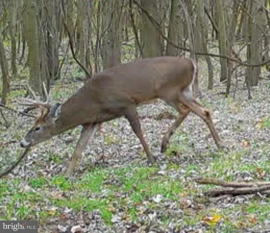 a view of a fireplace