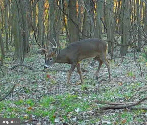 a view of a tennis court with an ocean view