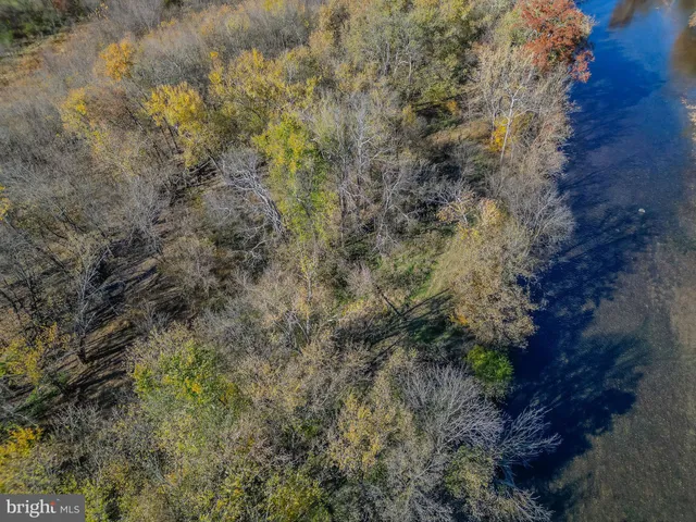 a view of a bunch of trees in a field