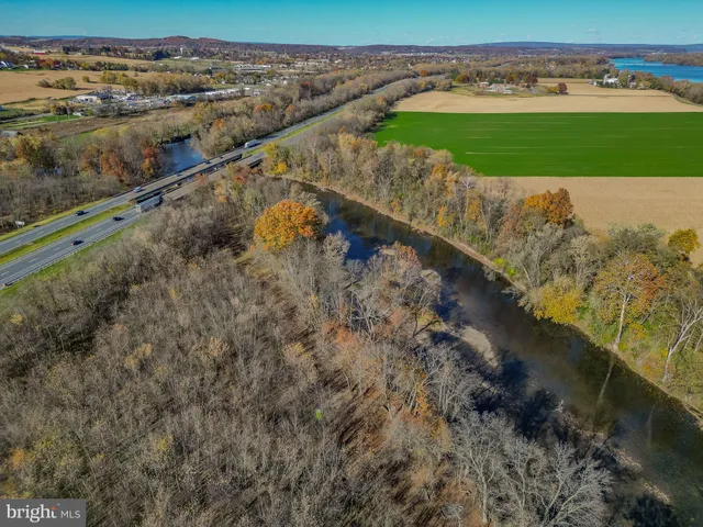 a view of a yard with wooden floor