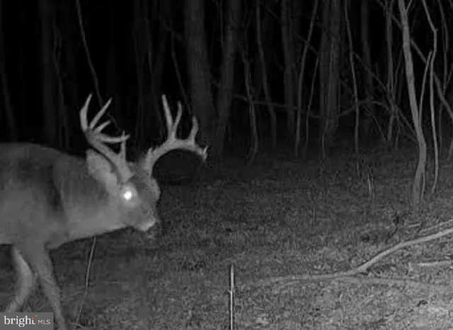 $319,000 | 0 North Market Street, Selinsgrove, PA 17870