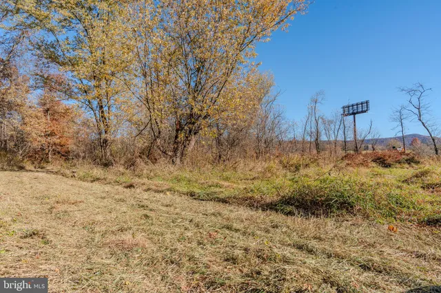 a view of a yard with trees
