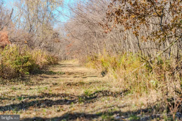 a view of lake with green space