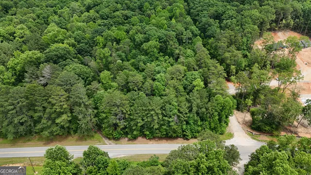 an aerial view of residential house with outdoor space and trees all around
