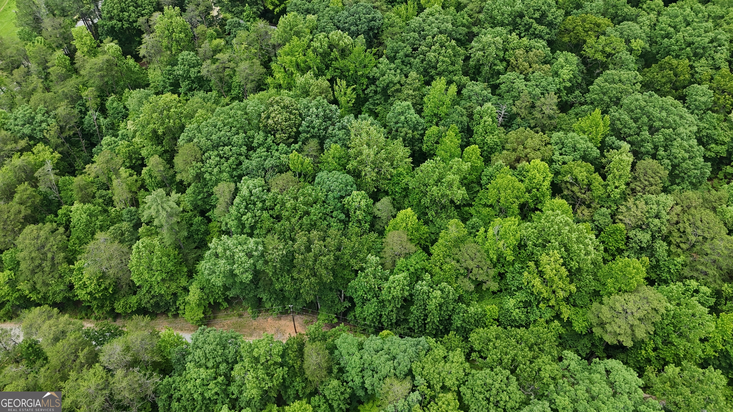 0 Sautee Ridge Road, Unit TRACT 1 Clarkesville, GA 30523 - Photo 4 of 10 a view of a lush green forest