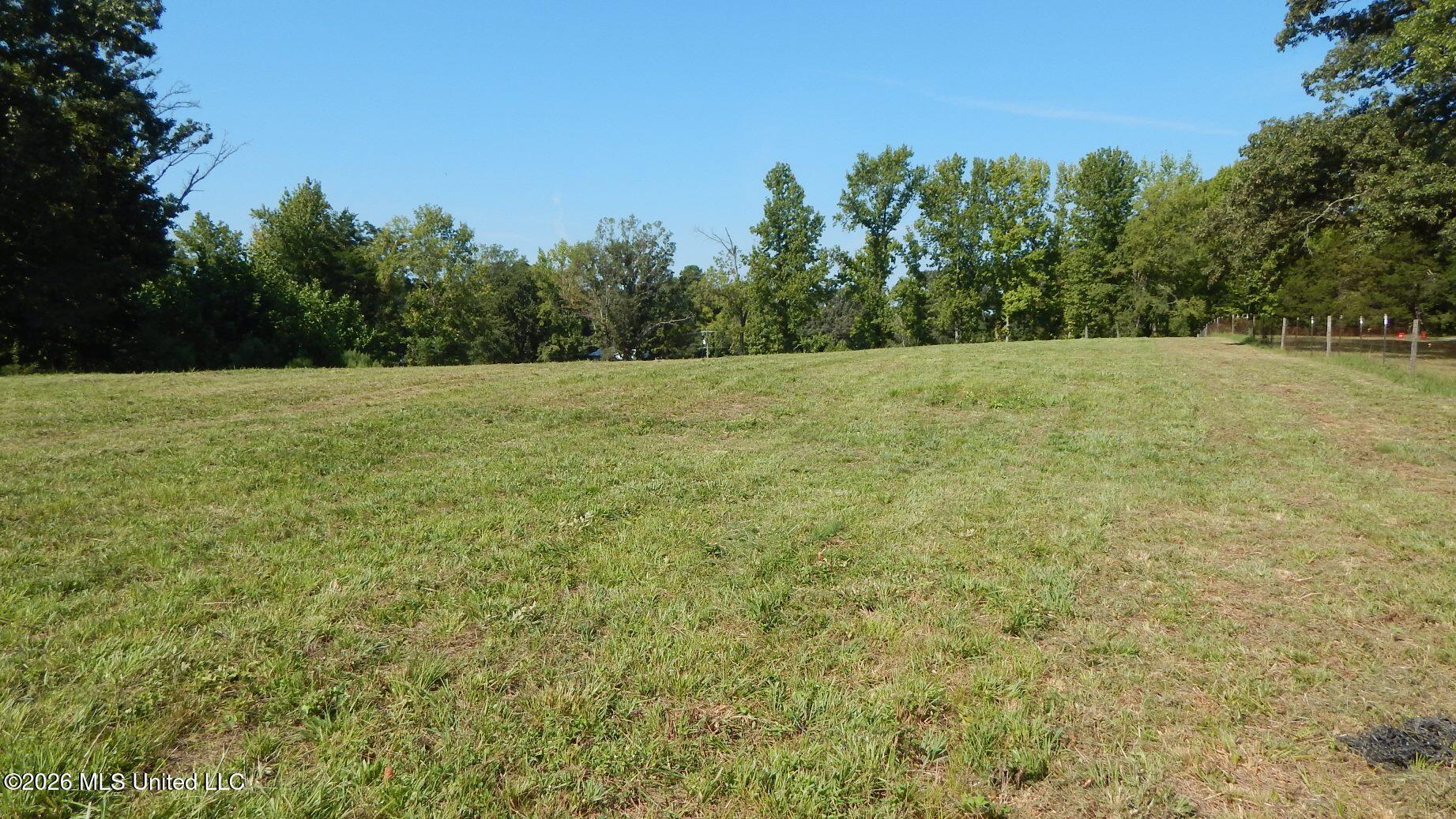 400 Arkabutla Dam Road Coldwater, MS 38618 - Photo 11 of 15 DSCN7566