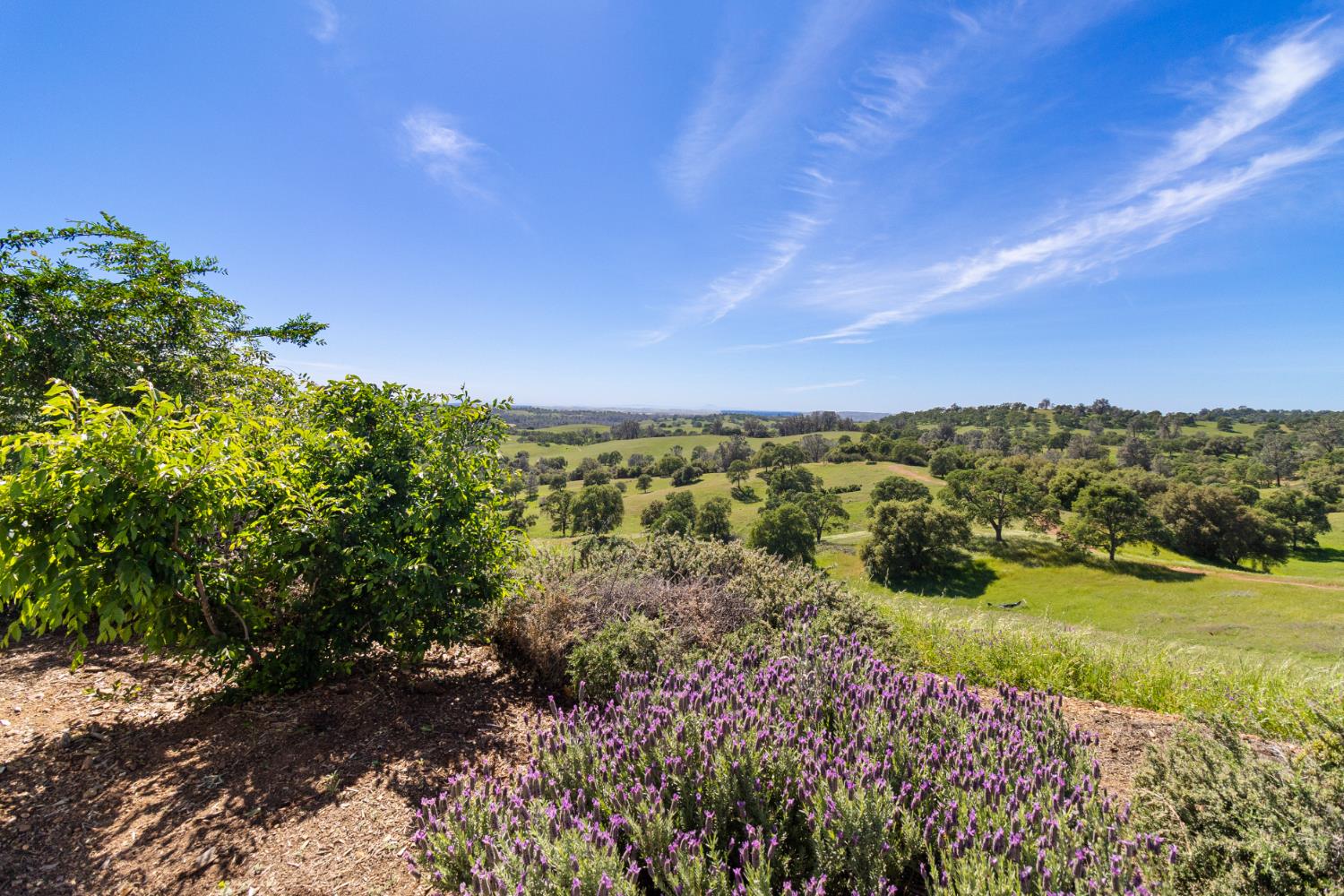 11015 Vintage Road Ione, CA 95640 - Photo 69 of 99
