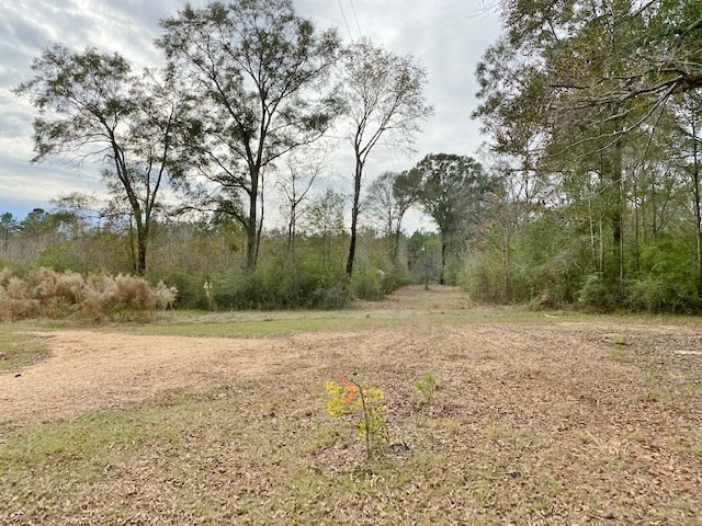 302 Topeka-Jayess Road Jayess, MS 39641 - Photo 31 of 41 Photo 31