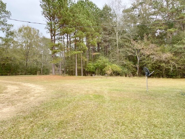 302 Topeka-Jayess Road Jayess, MS 39641 - Photo 33 of 41 Photo 33