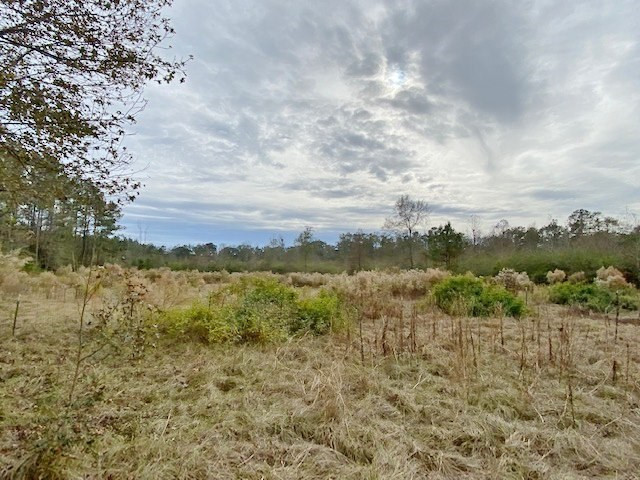 302 Topeka-Jayess Road Jayess, MS 39641 - Photo 37 of 41 Photo 37