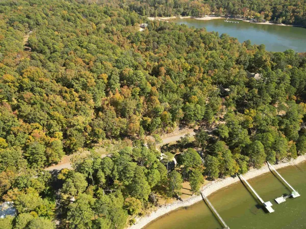 a view of a lake in middle of forest
