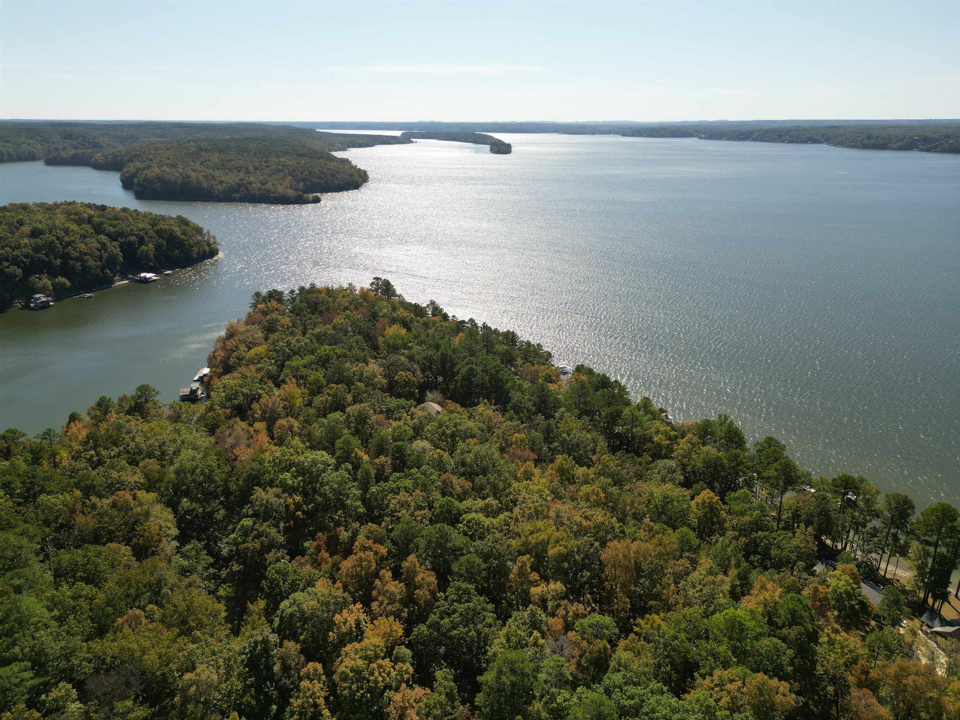 3350 Bruton Branch Road Savannah, TN 38372 - Photo 6 of 9 a view of a lake in middle of forest