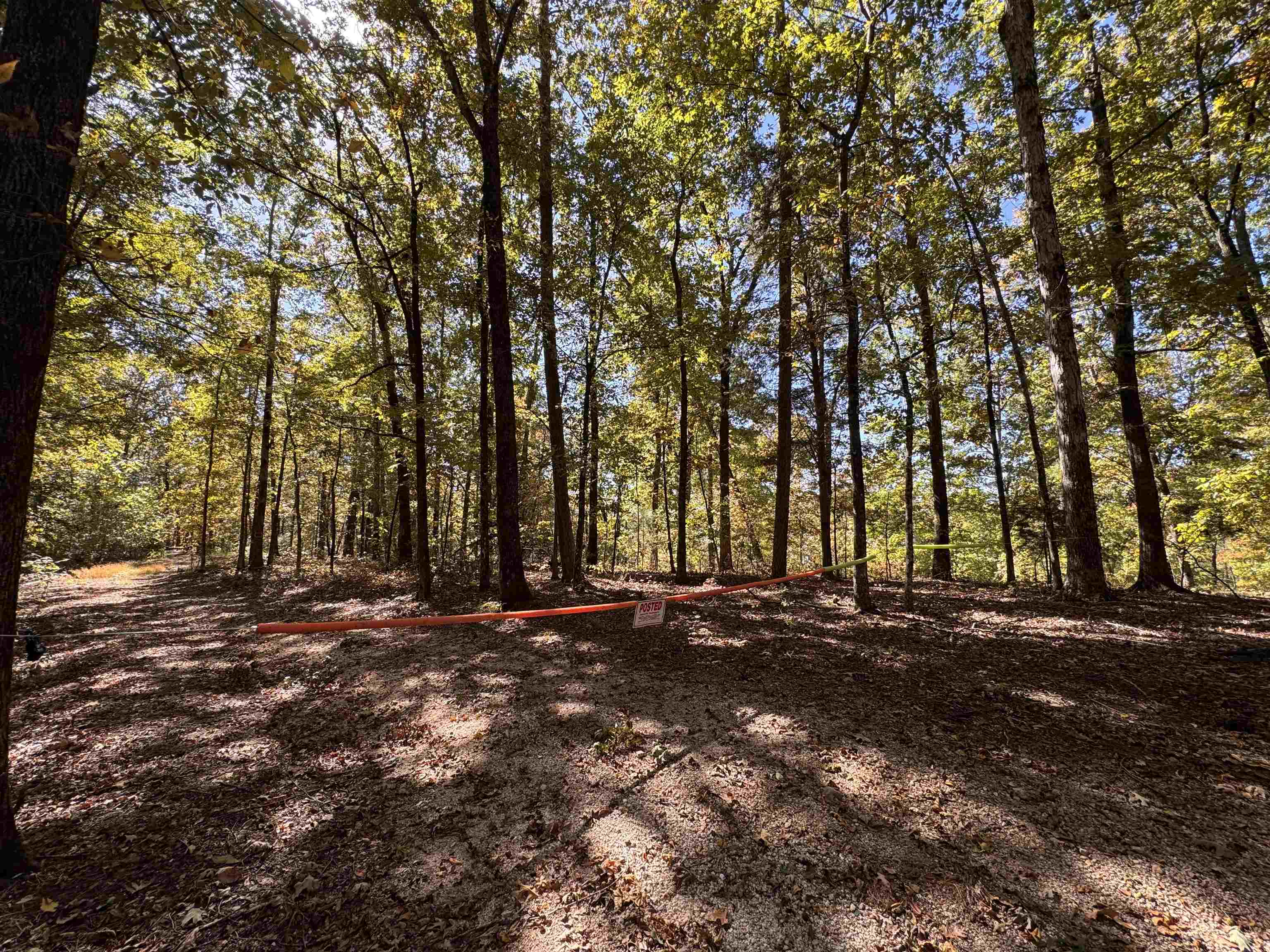 3350 Bruton Branch Road Savannah, TN 38372 - Photo 8 of 9 a view of road with trees