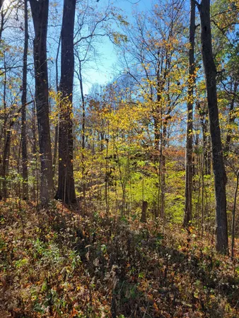 $45,000 | 0 Valley Drive, Greencastle, IN 46135