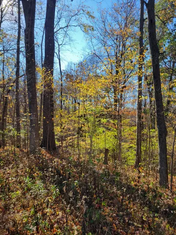 $45,000 | 0 Valley Drive, Greencastle, IN 46135