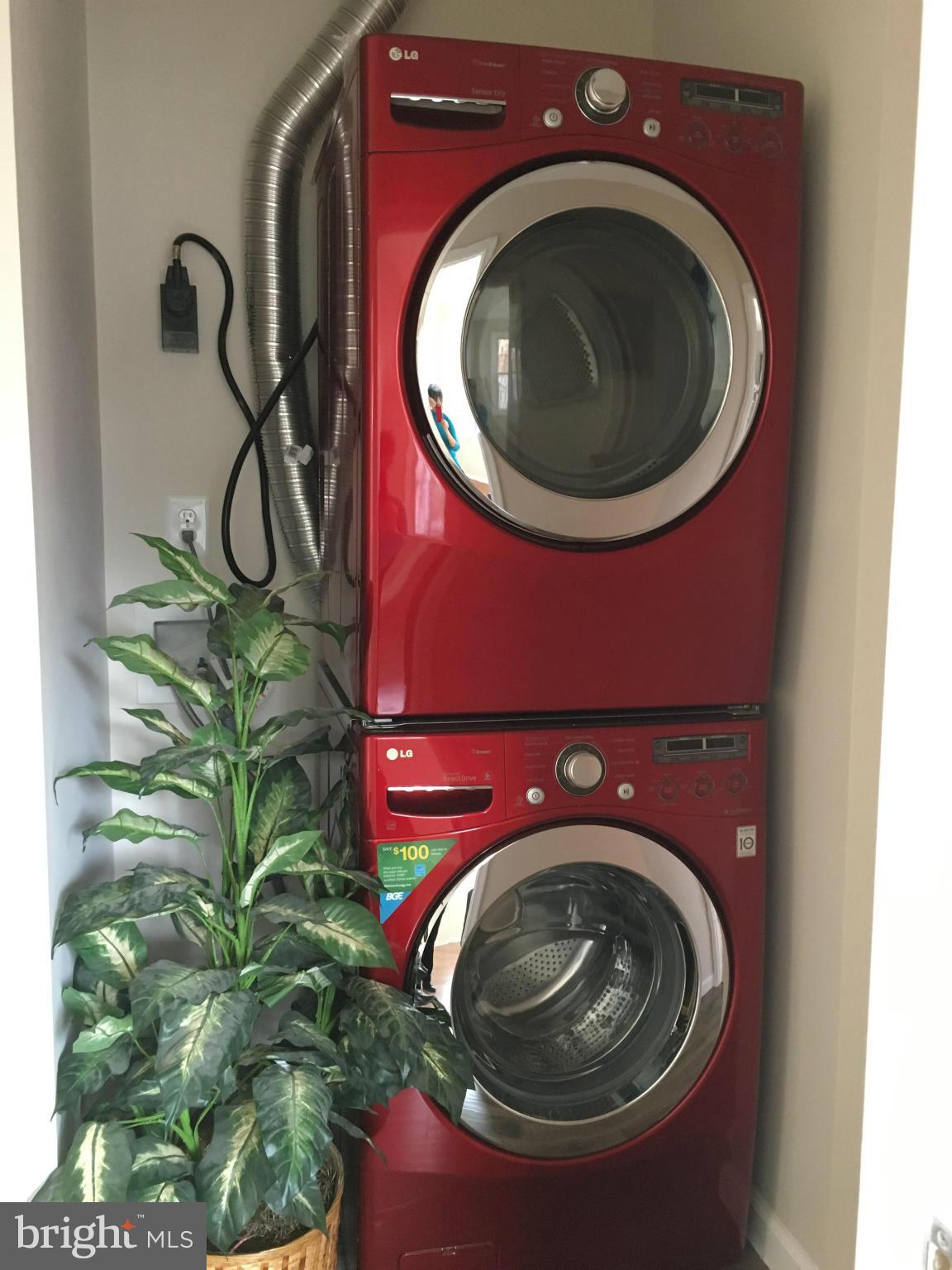 7631 Normandy Road Landover, MD 20785 - Photo 23 of 30 High end Washer & Dryer