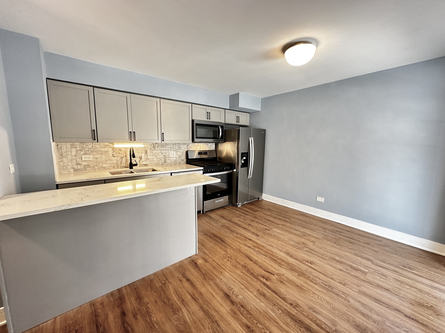 1502 West 91st Street Chicago, IL 60620 - Photo 5 of 16