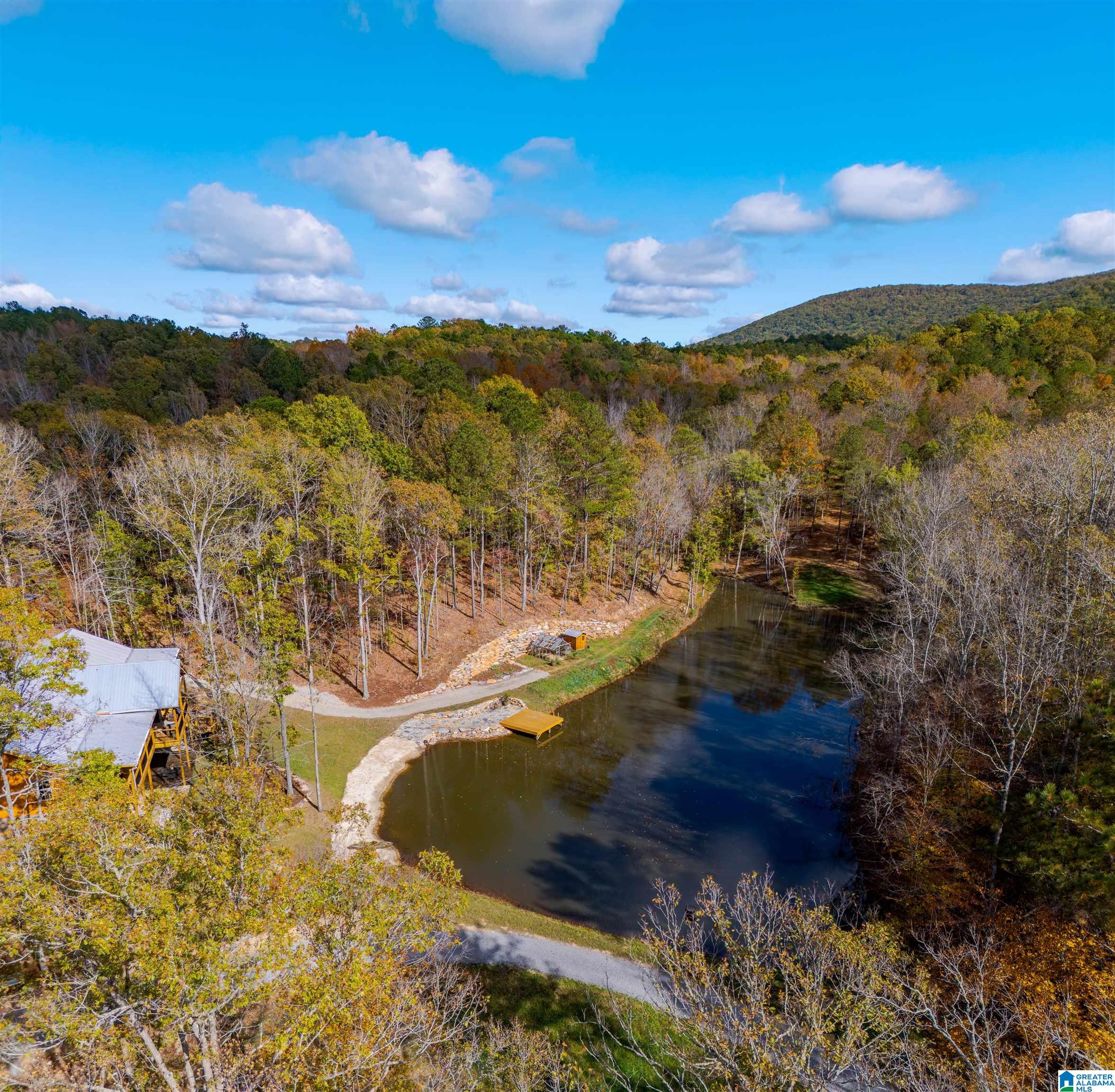 4245 Union T Road Talladega, AL 35160 - Photo 6 of 87