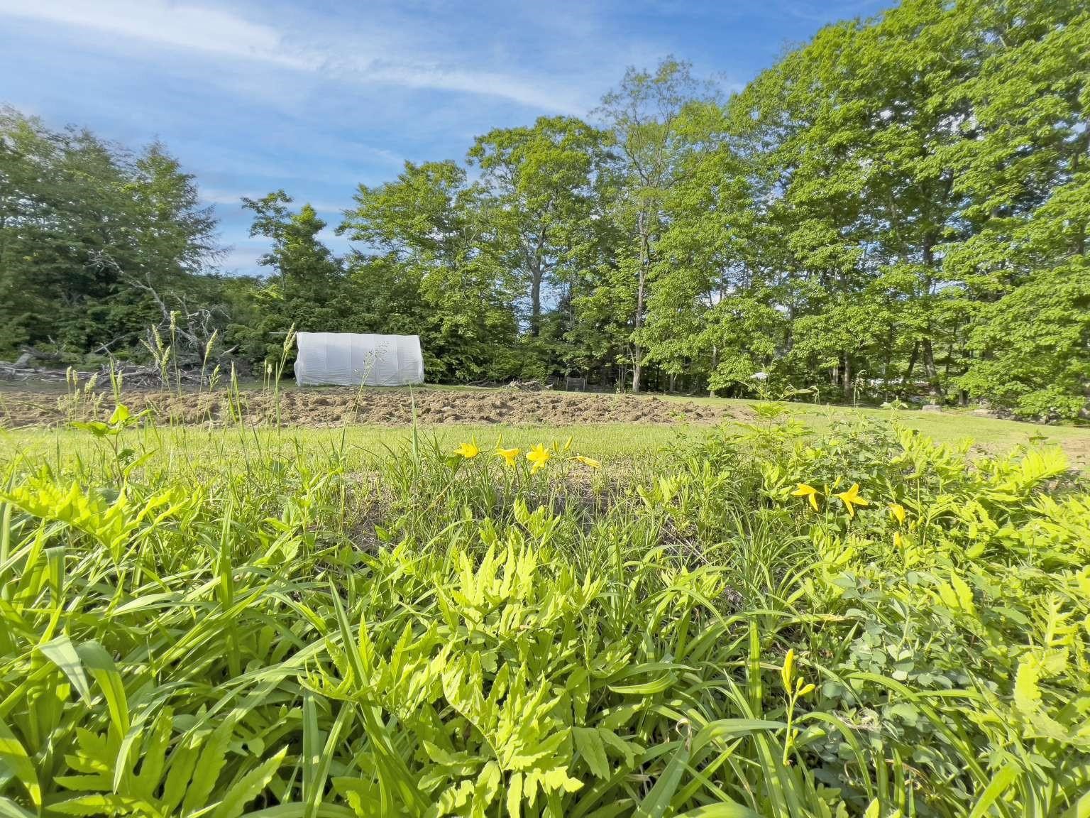 126 Brookline Road Athens, VT 05143 - Photo 20 of 28