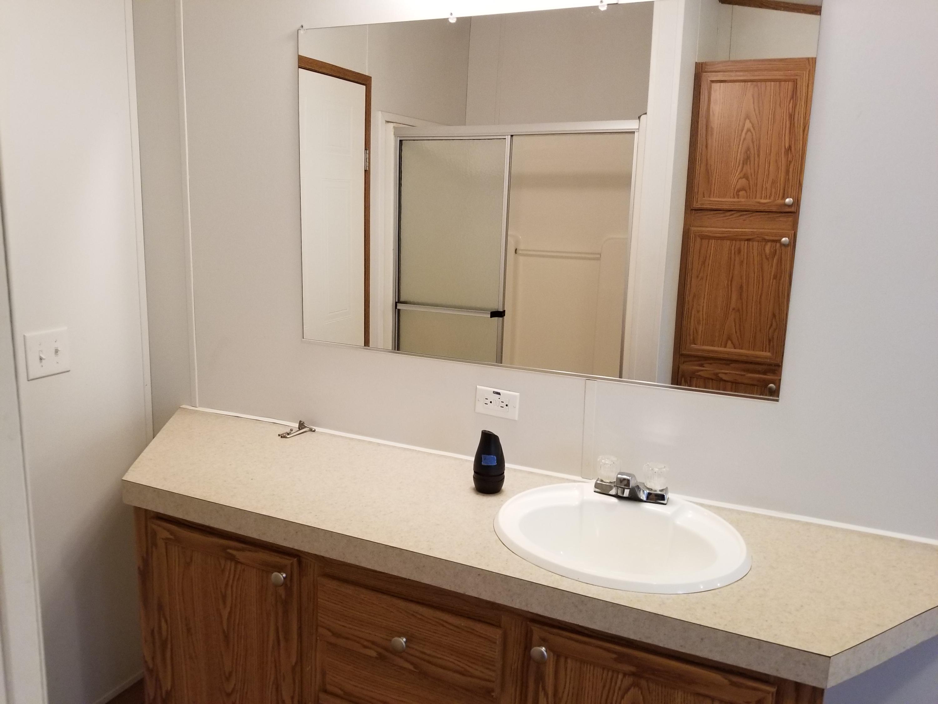 5352 Stewartsville Road Moneta, VA 24121 - Photo 12 of 21 Master bath and shower