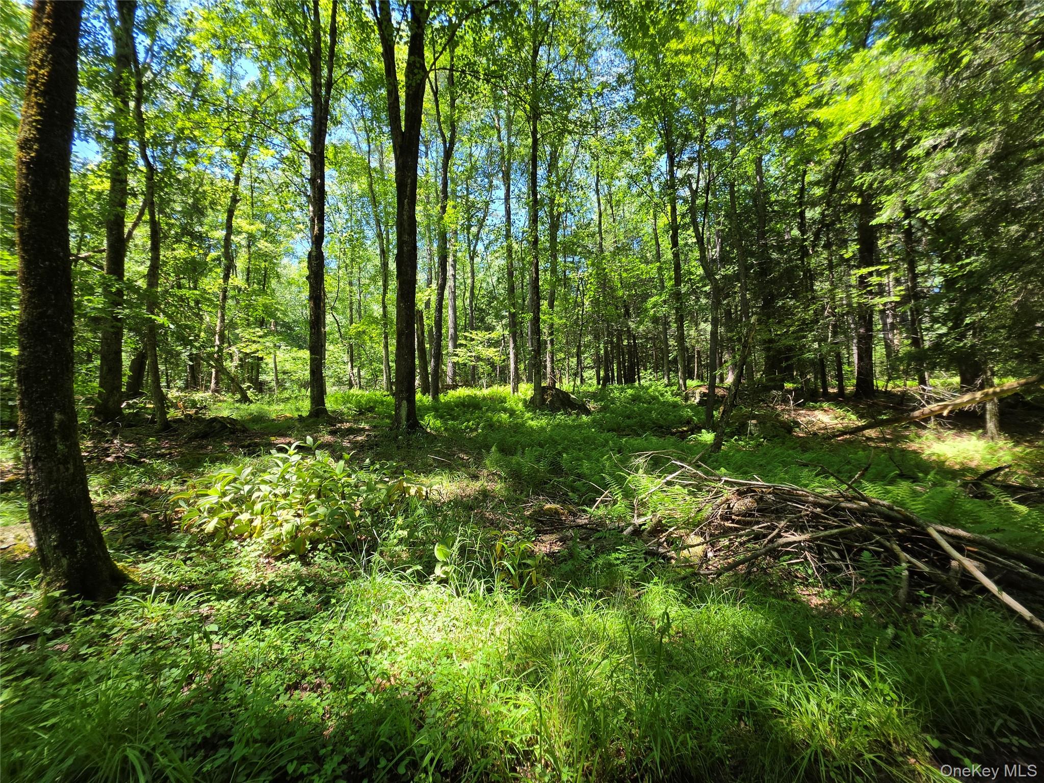 Tbd Camp Kennybrook Road Monticello, NY 12701 - Photo 2 of 34