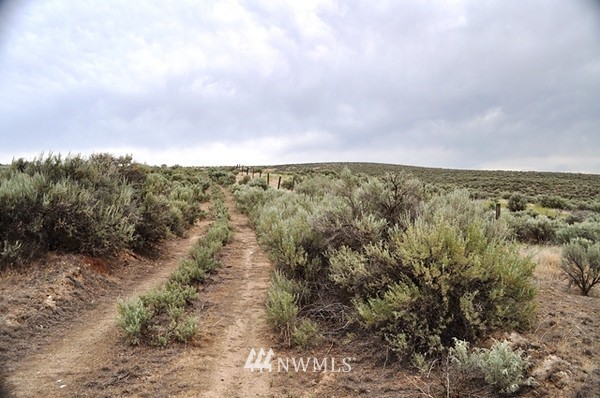 0 Laurer Road Odessa, WA 99159 - Photo 1 of 15