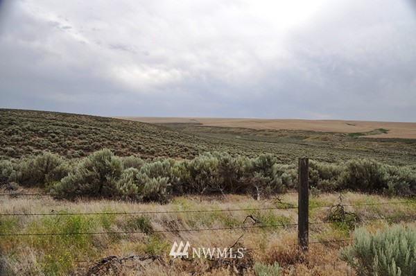 0 Laurer Road Odessa, WA 99159 - Photo 11 of 15