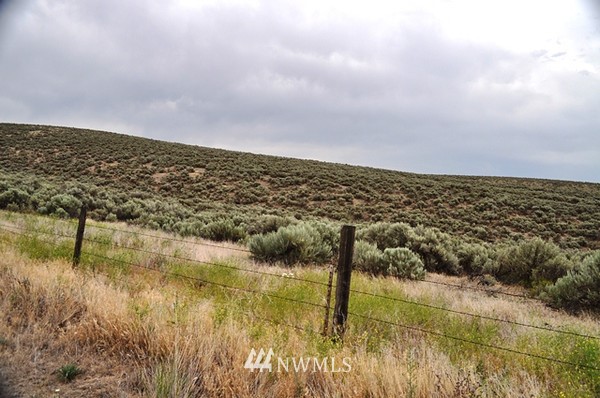 0 Laurer Road Odessa, WA 99159 - Photo 12 of 15